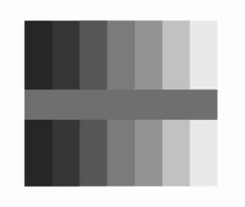 Simultaneous contrast in shades of grey (grey scale)